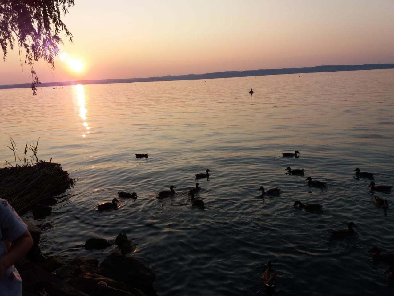 Sommer Ferienhaus Balatonszarszo Dış mekan fotoğraf